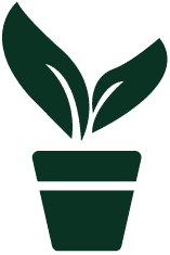 pot